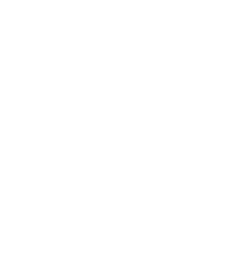 UDEMKO 2027