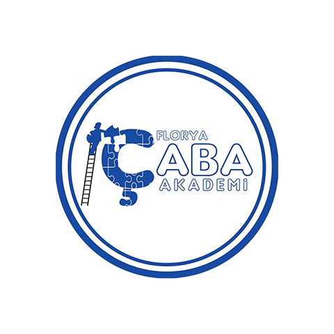 Çaba Akademi